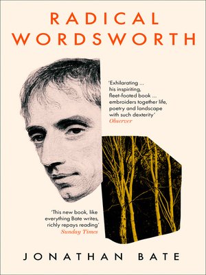 cover image of Radical Wordsworth